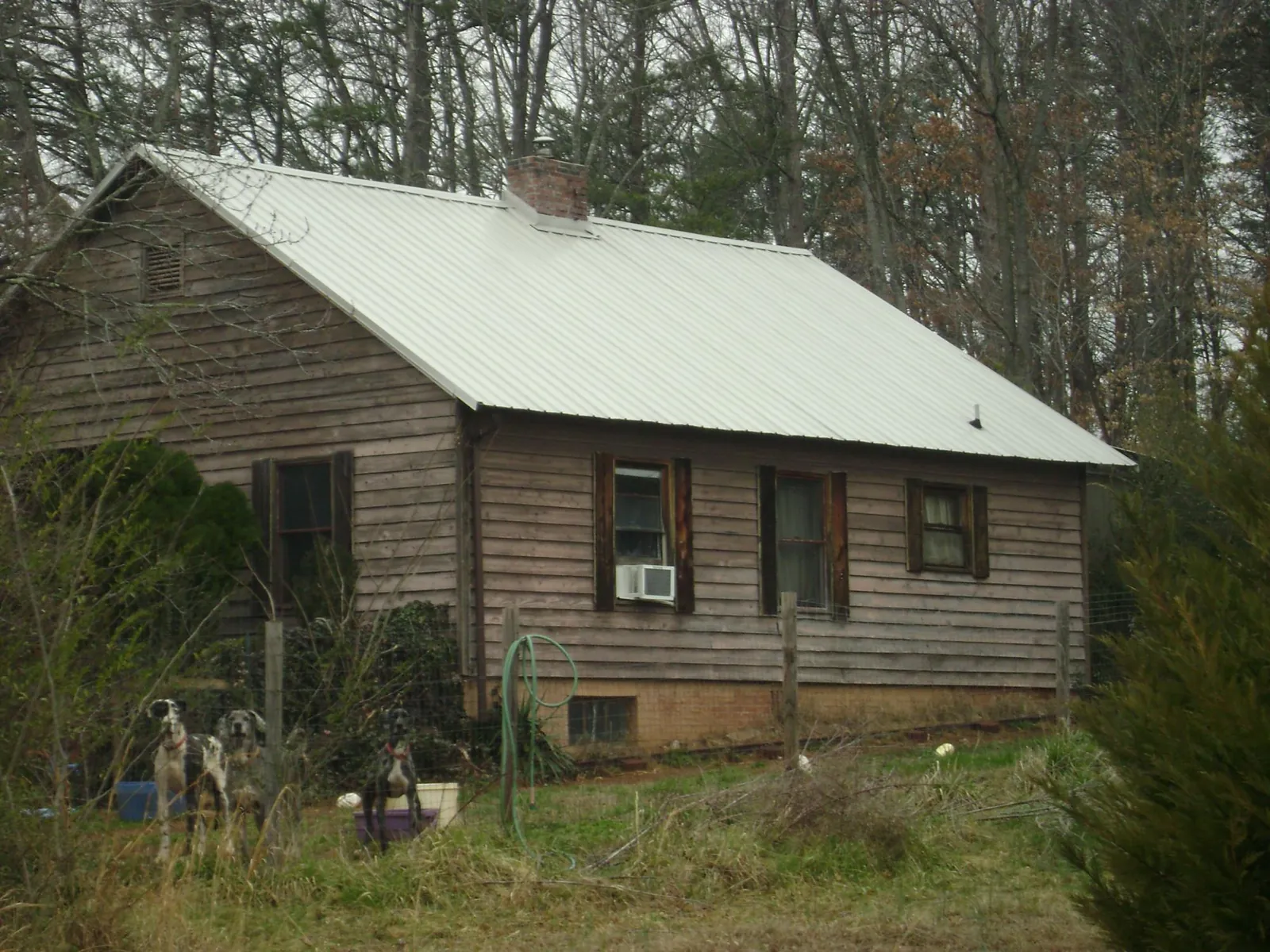 White metal roof on an old wood sided farmhouse, from a Asphalt Shingle Roof Repair job in Conklin
